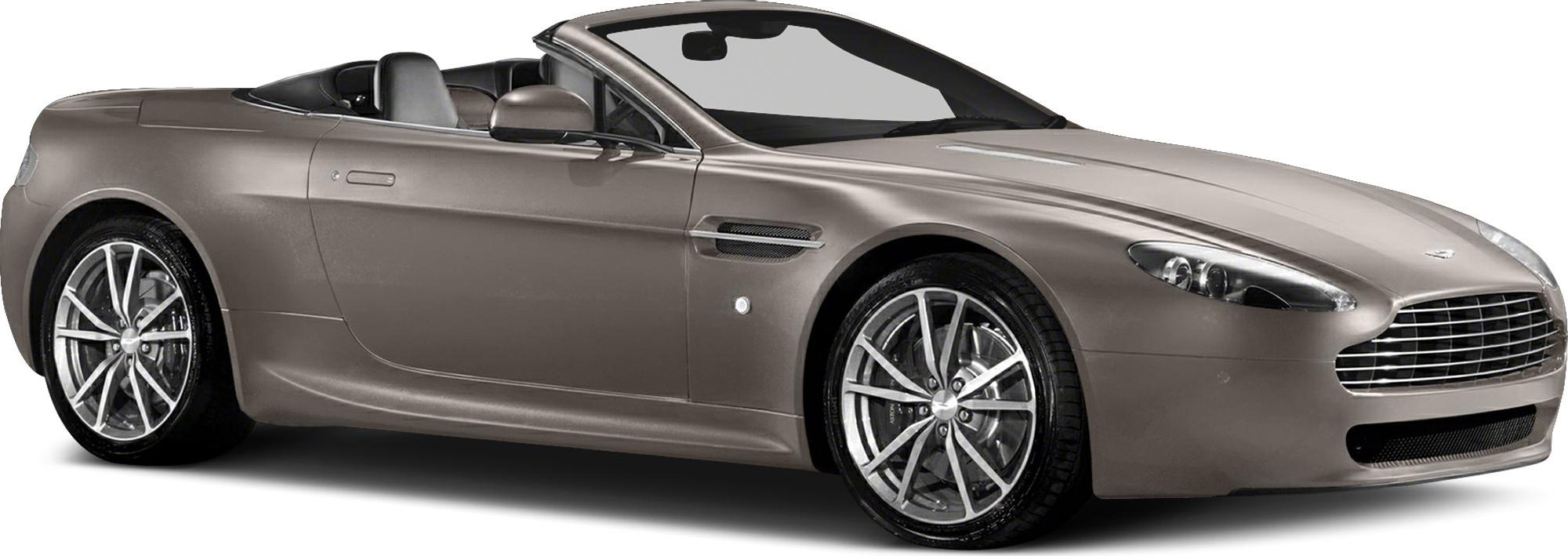 3/4 front-right view, Silver Fox