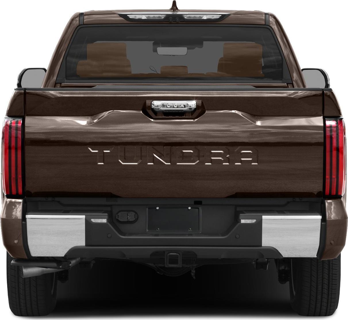Pickup tailgate with embossed lettering and vertical LED taillights