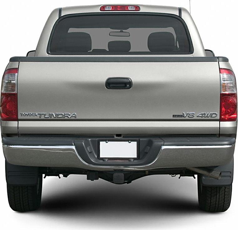 Rear view of pickup tailgate with badges and bumper
