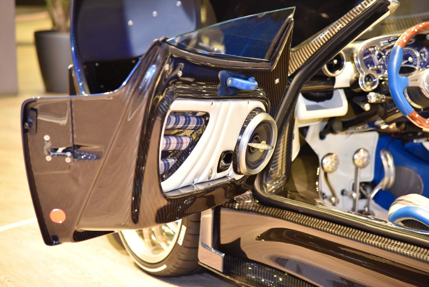 Carbon fiber door interior with unique speaker and luxury trim