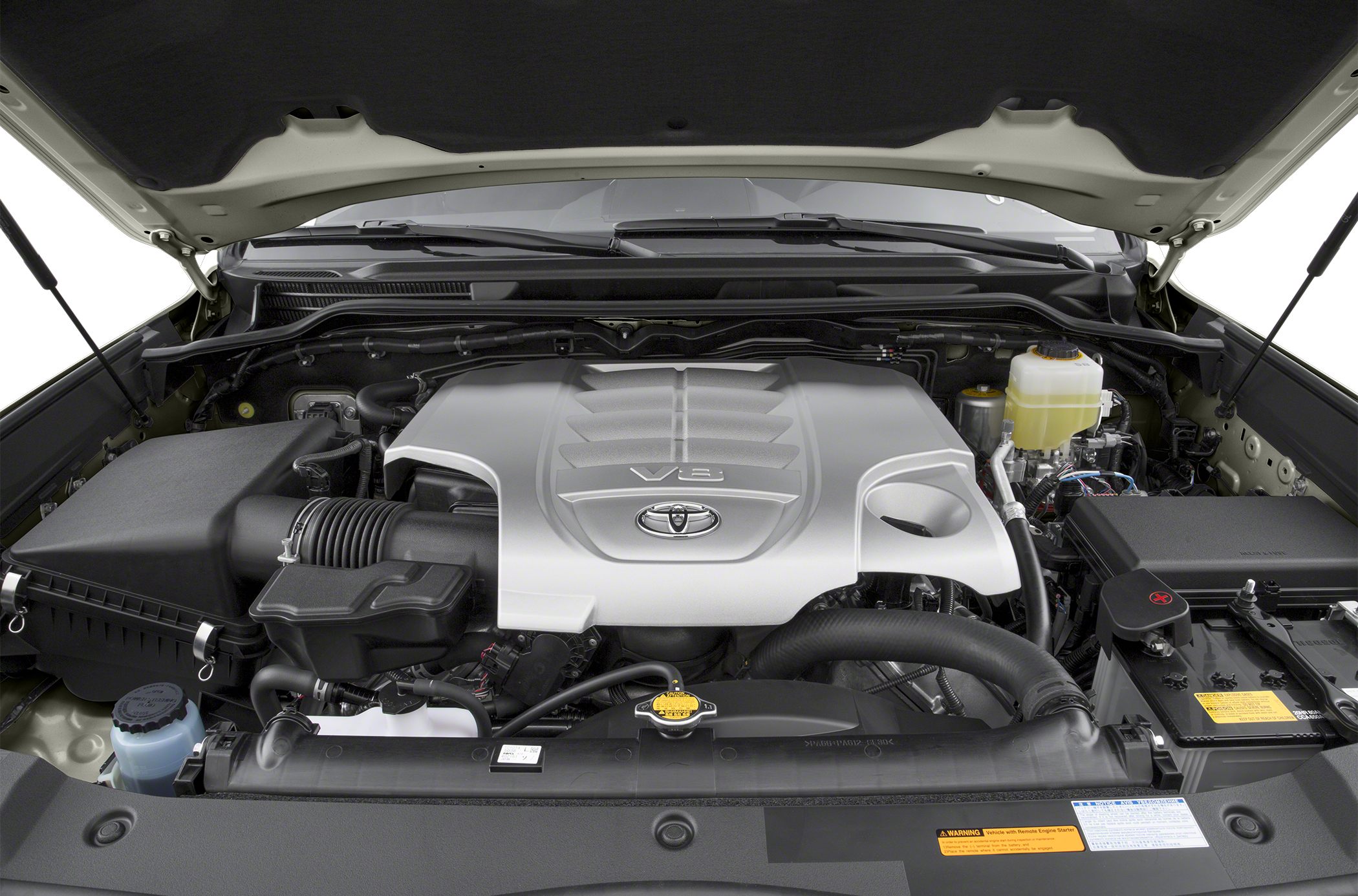 V8 engine bay with clean component layout and visible fluid reservoirs