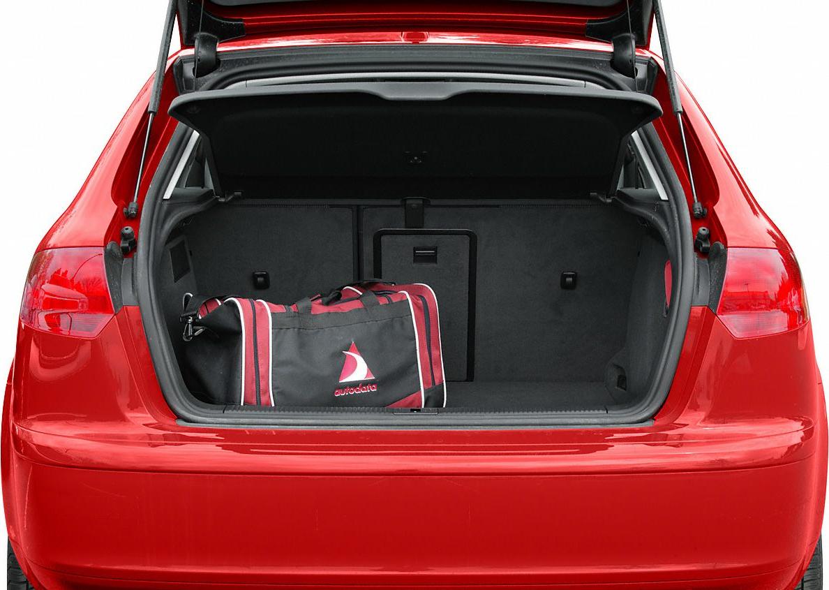 Open hatchback trunk with luggage inside