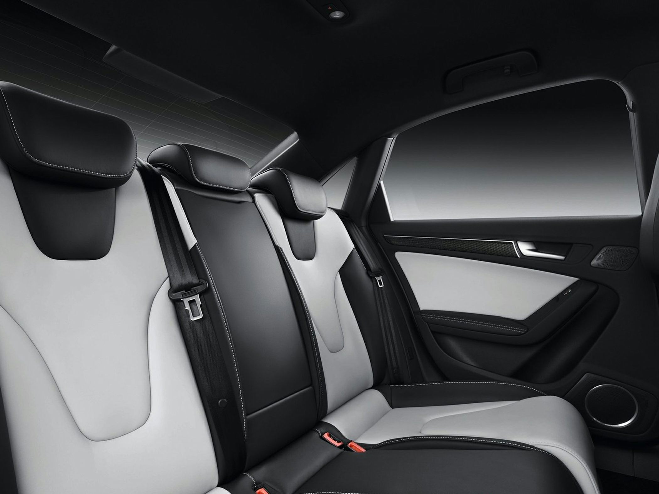 Dual-tone leather rear seats and interior door panel