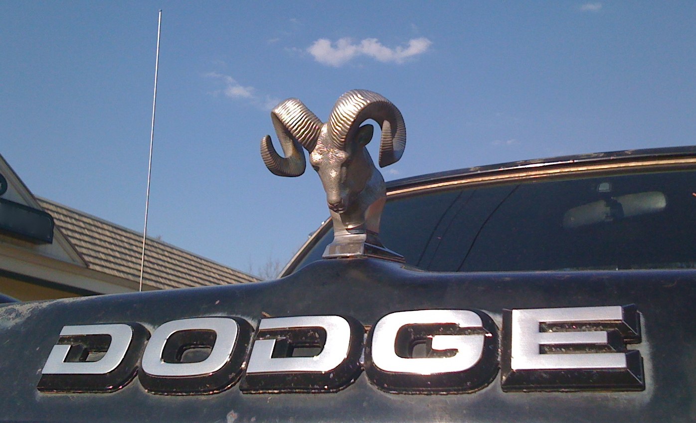 Close-up of a ram hood ornament and large Dodge emblem on truck hood