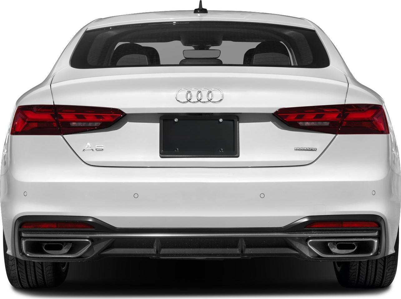 Rear view with distinct taillights and dual exhaust outlets