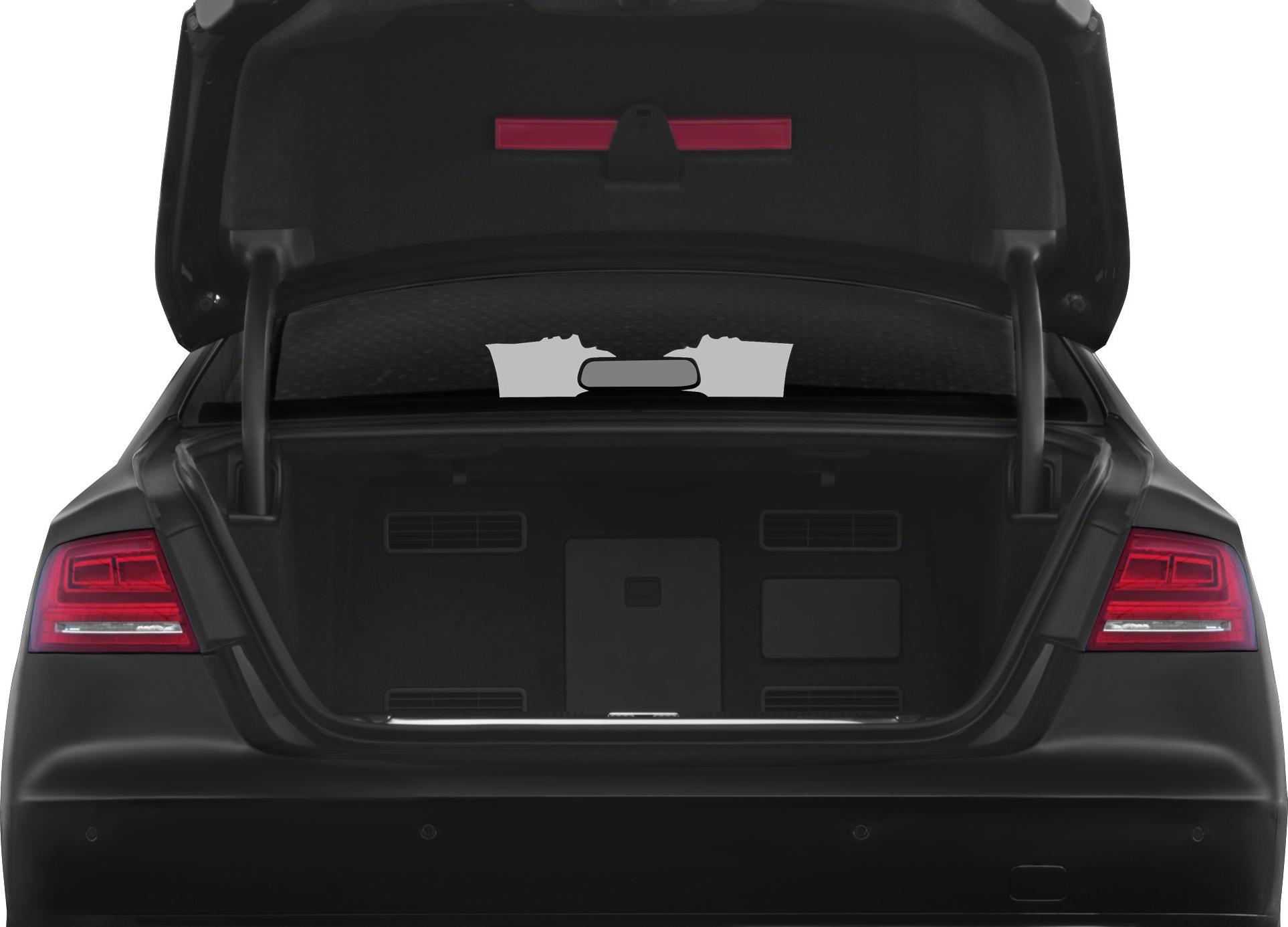 Open trunk with visible cargo area and rear light clusters