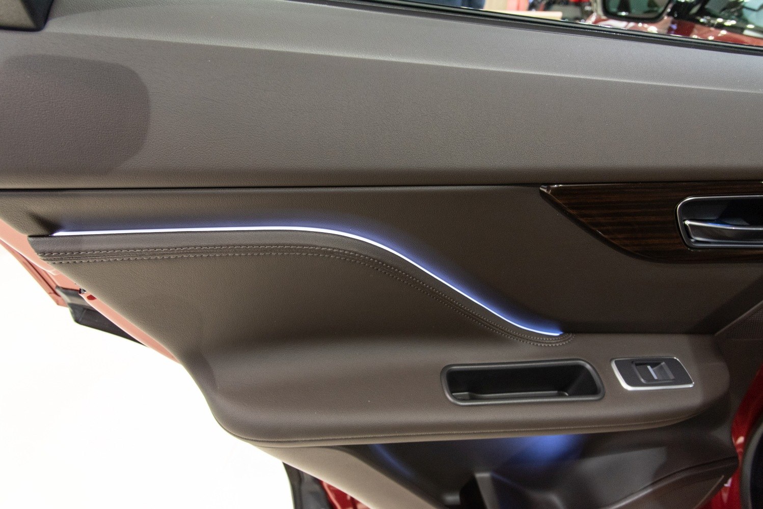 Interior door panel with ambient lighting and wood trim