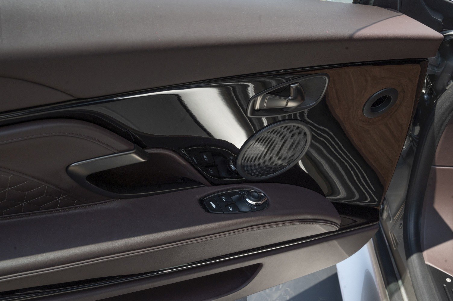 Luxury car interior door panel with speaker and control buttons