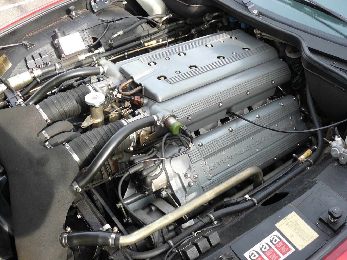 V8 engine with twin-cam covers and detailed tubing