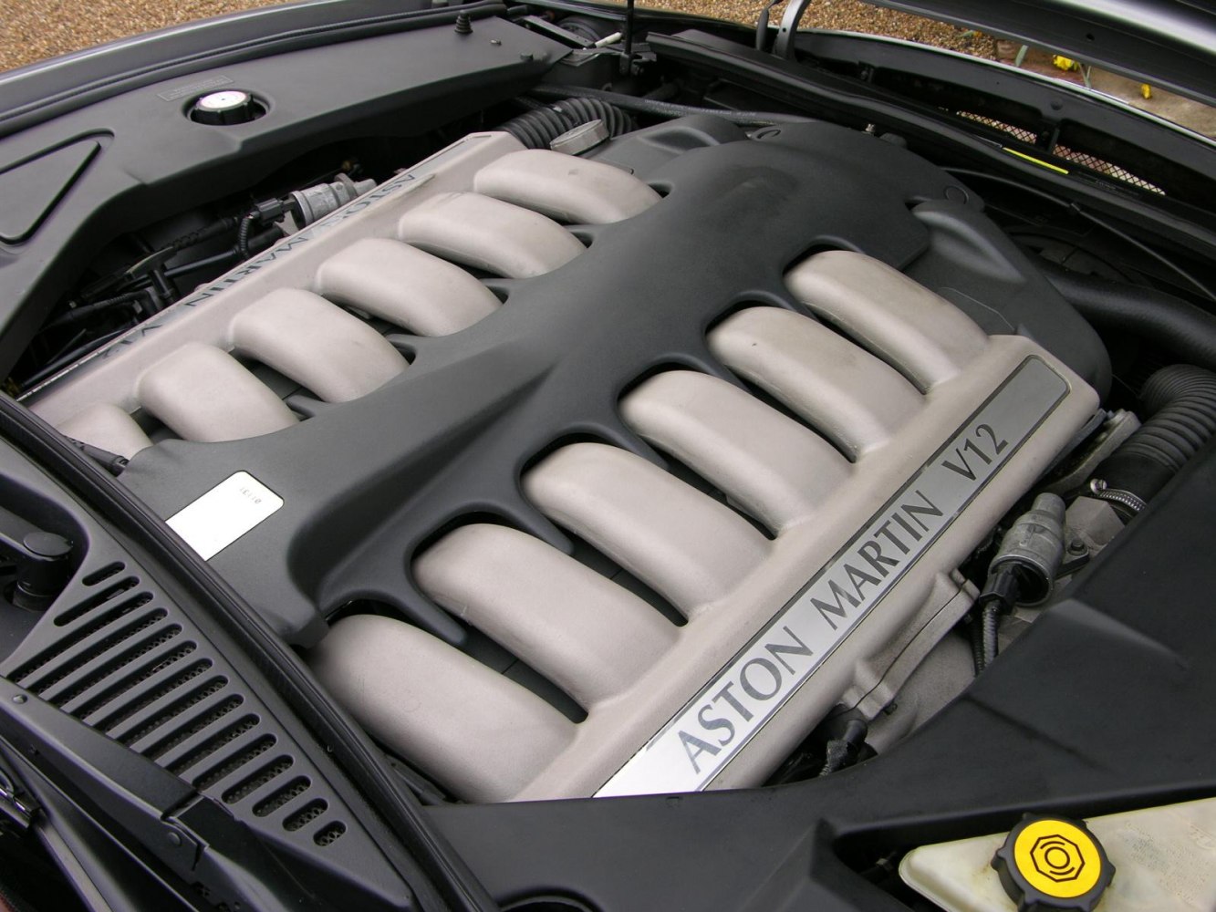 Close-up of a V12 engine with distinctive intake manifold