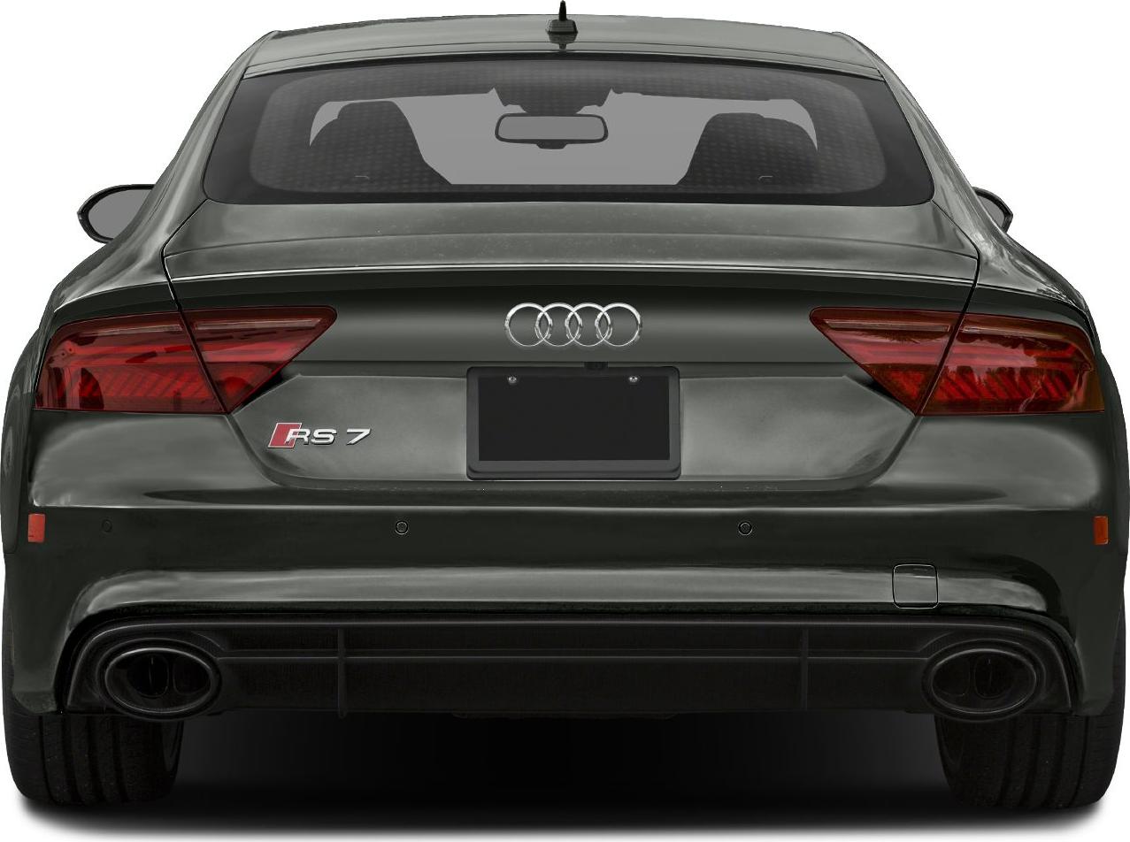 Rear view with LED taillights and dual oval exhausts