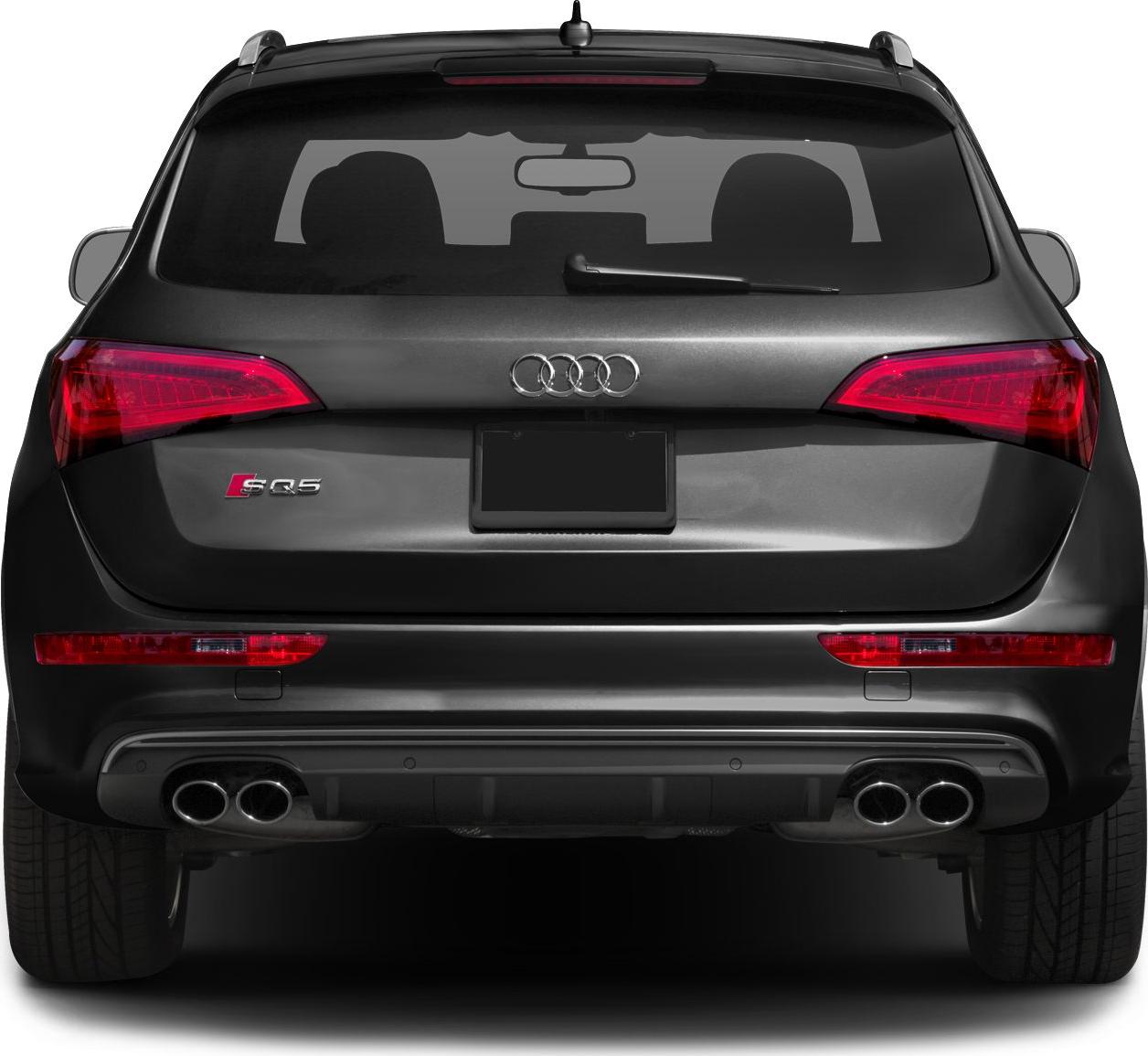 2014 Audi SQ5 I (8R) Rear View