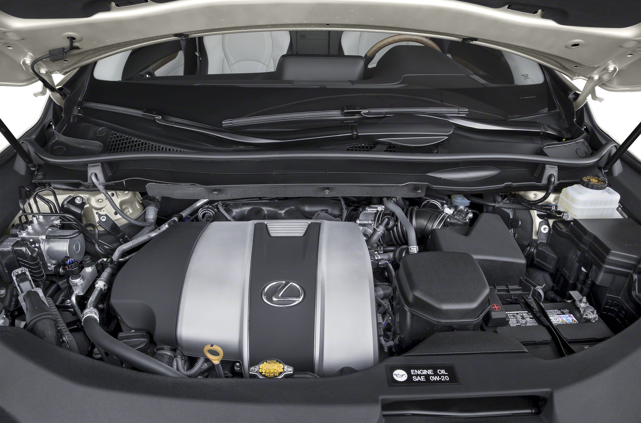 Front engine compartment featuring Lexus emblem and engine components