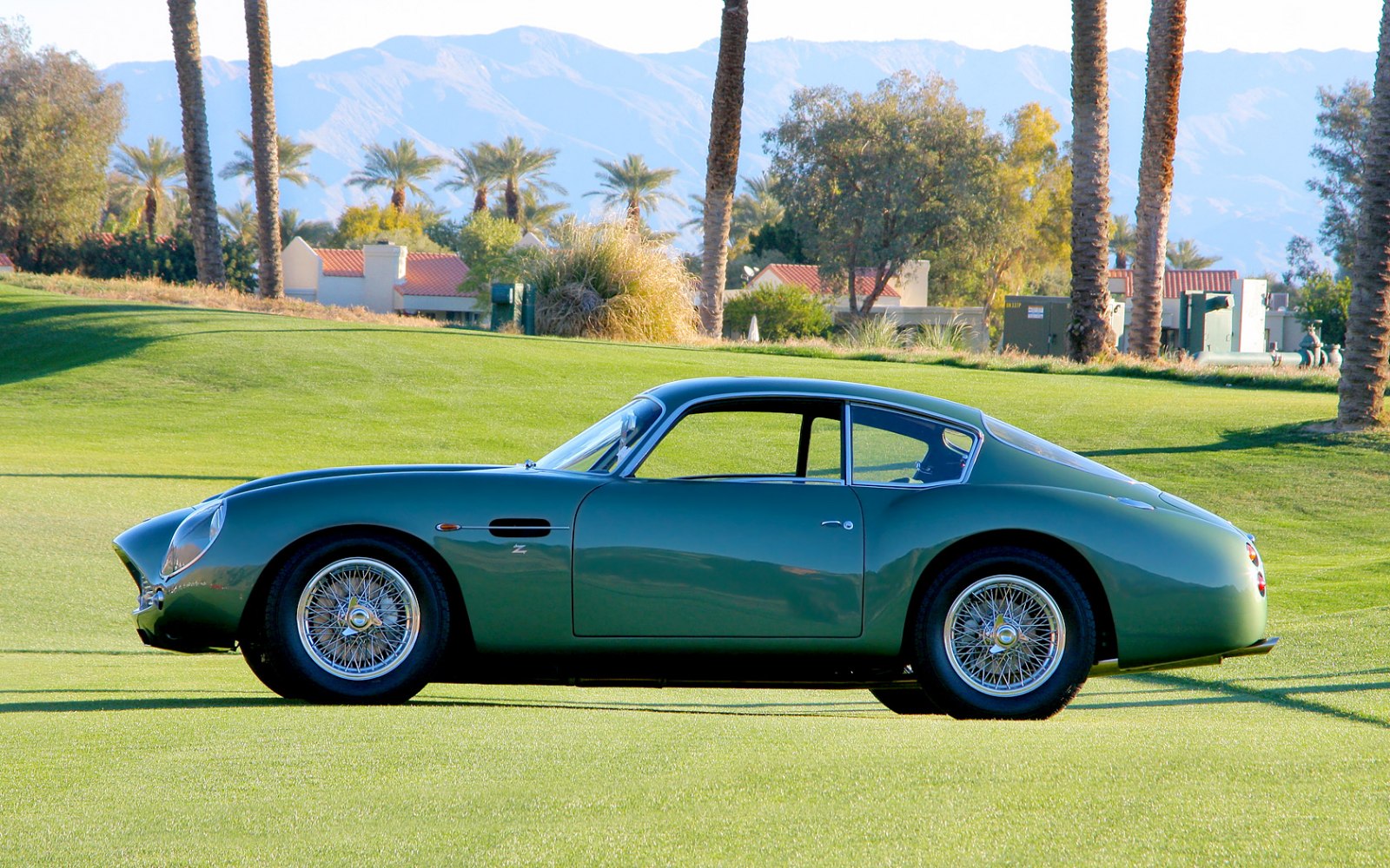 Side view of vintage sports coupe showing wire spoke wheels and smooth aerodynamic design.