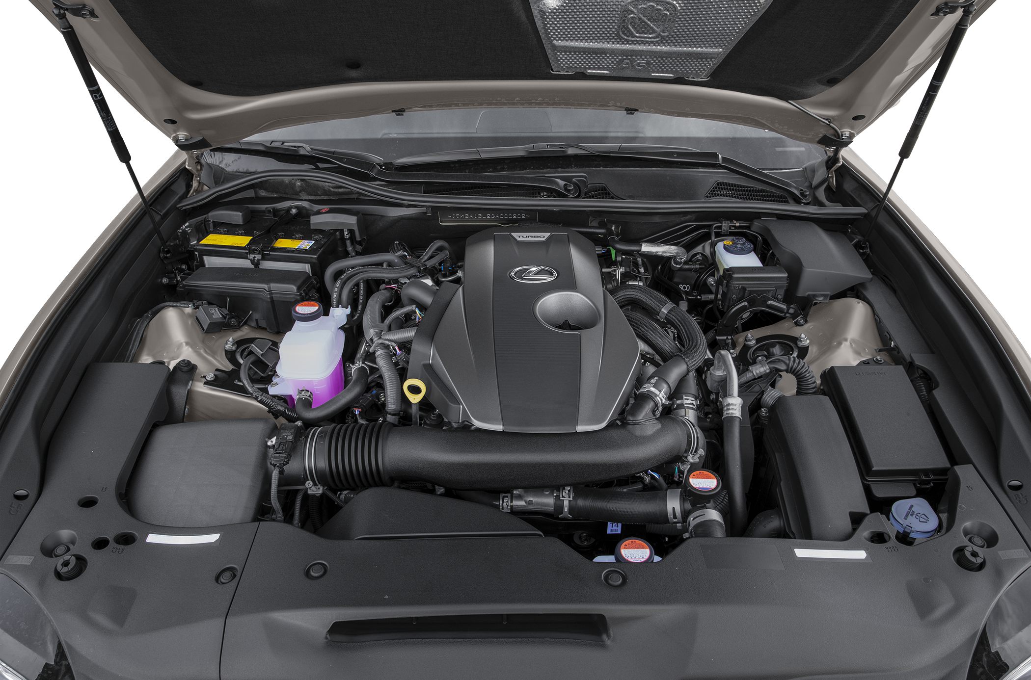 Turbocharged engine bay with Lexus logo and detailed components