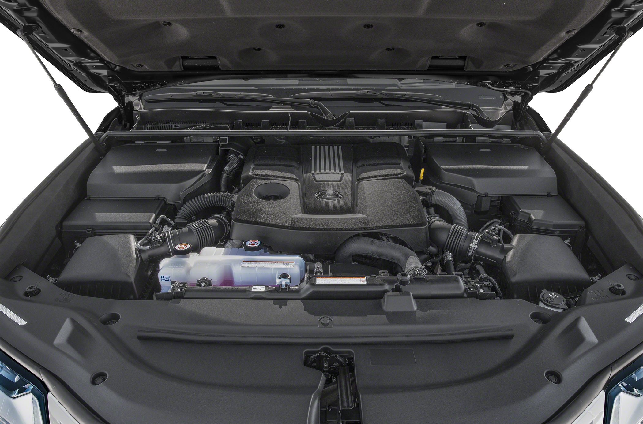 Engine bay compartment with organized layout and Lexus emblem cover.