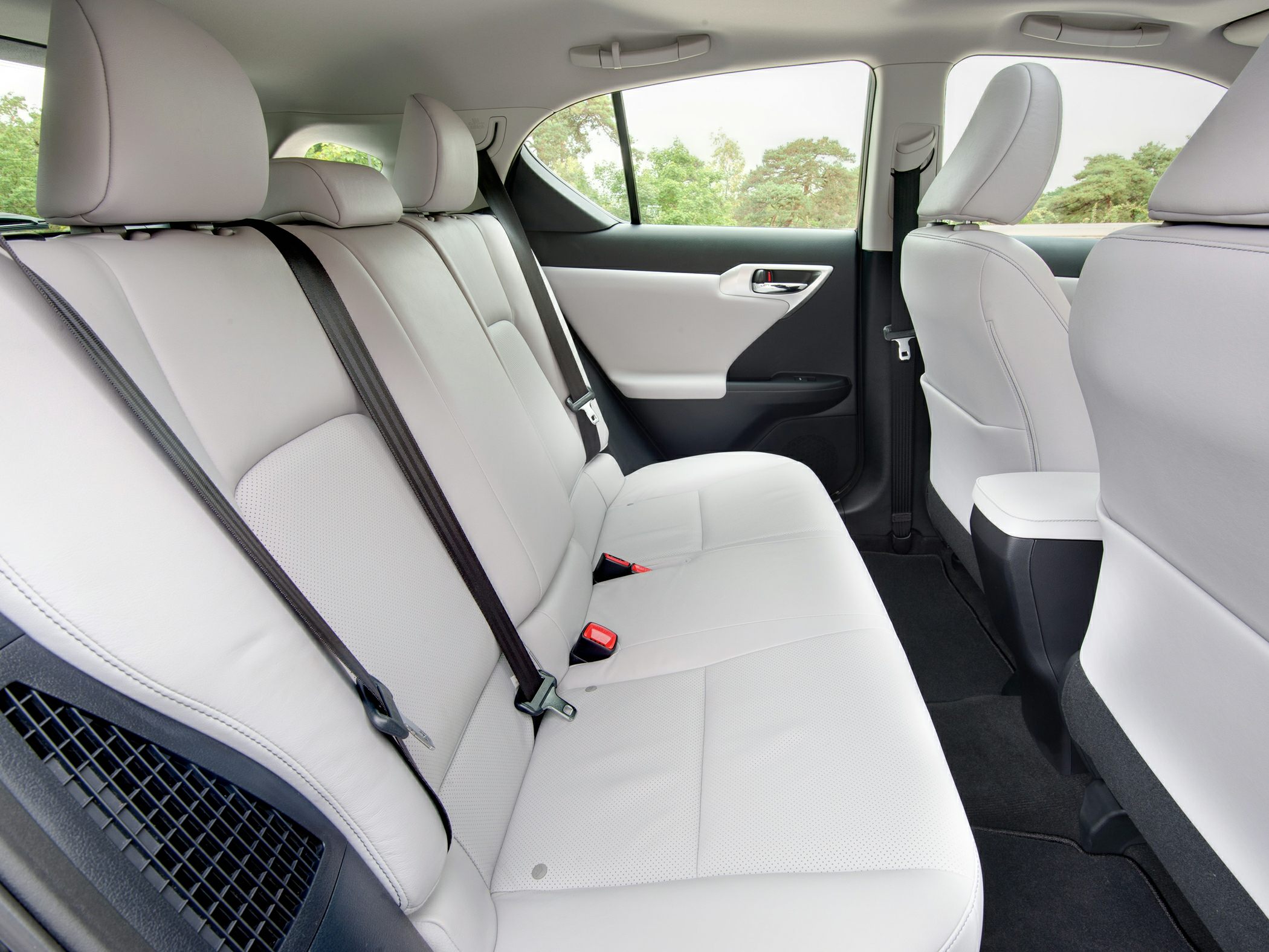 Rear passenger seats with seatbelts and door panel