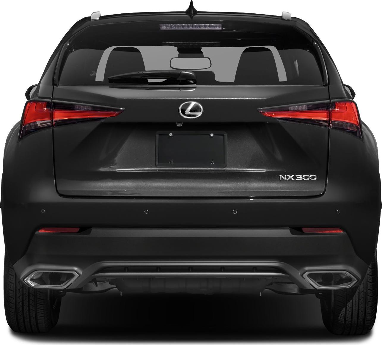 2018 Lexus NX I (AZ10, facelift 2017) Rear View