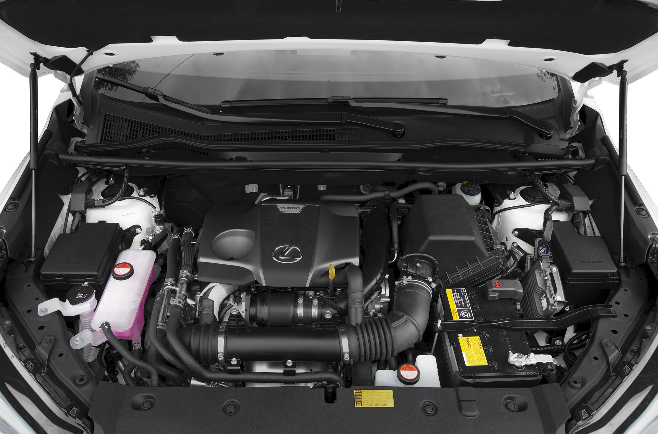 Turbocharged engine bay with Lexus logo and organized component layout