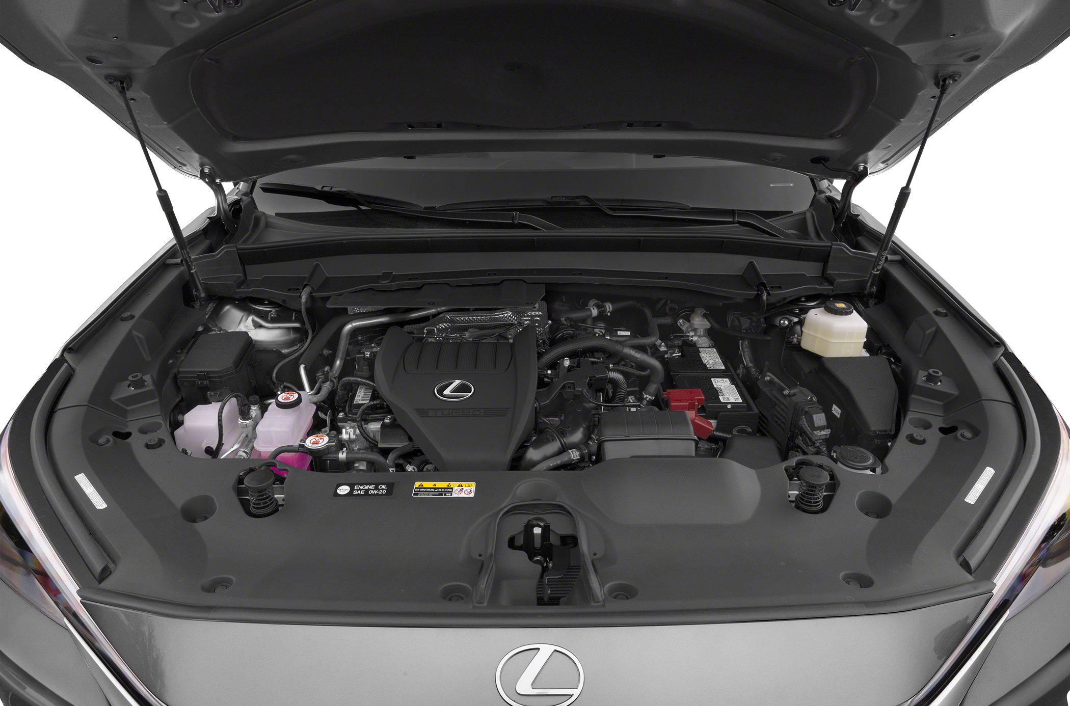 Turbocharged engine with well-organized engine bay and Lexus emblem.
