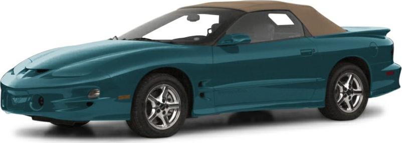 3/4 front-left view, Blue / Green Chameleon