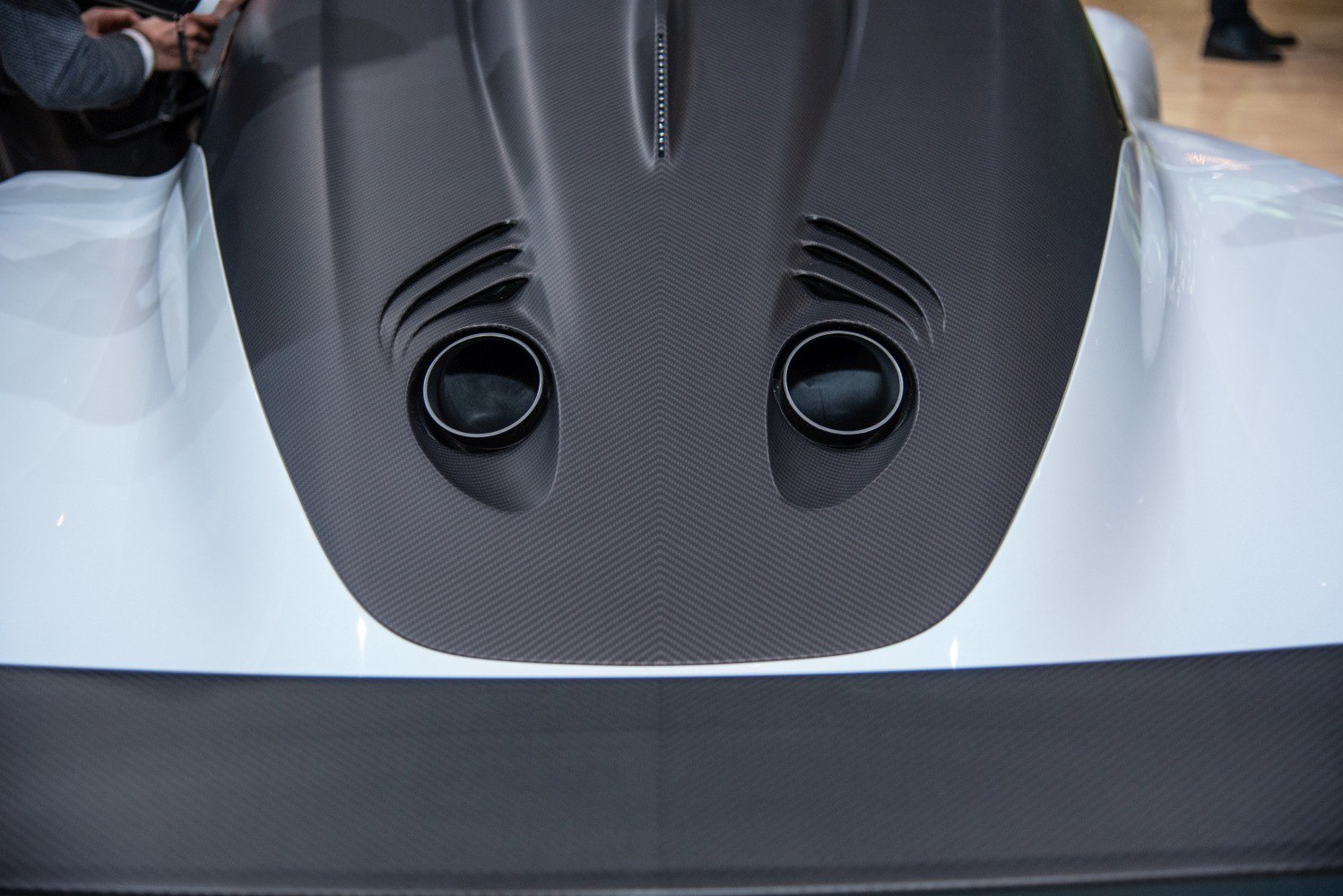 Carbon fiber hood with dual air intakes