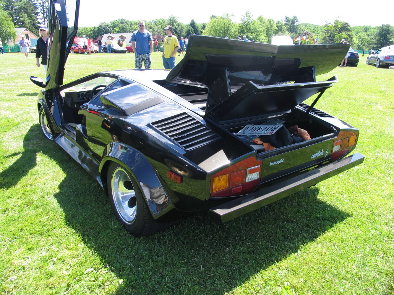 Rear view with open trunk and raised scissor door