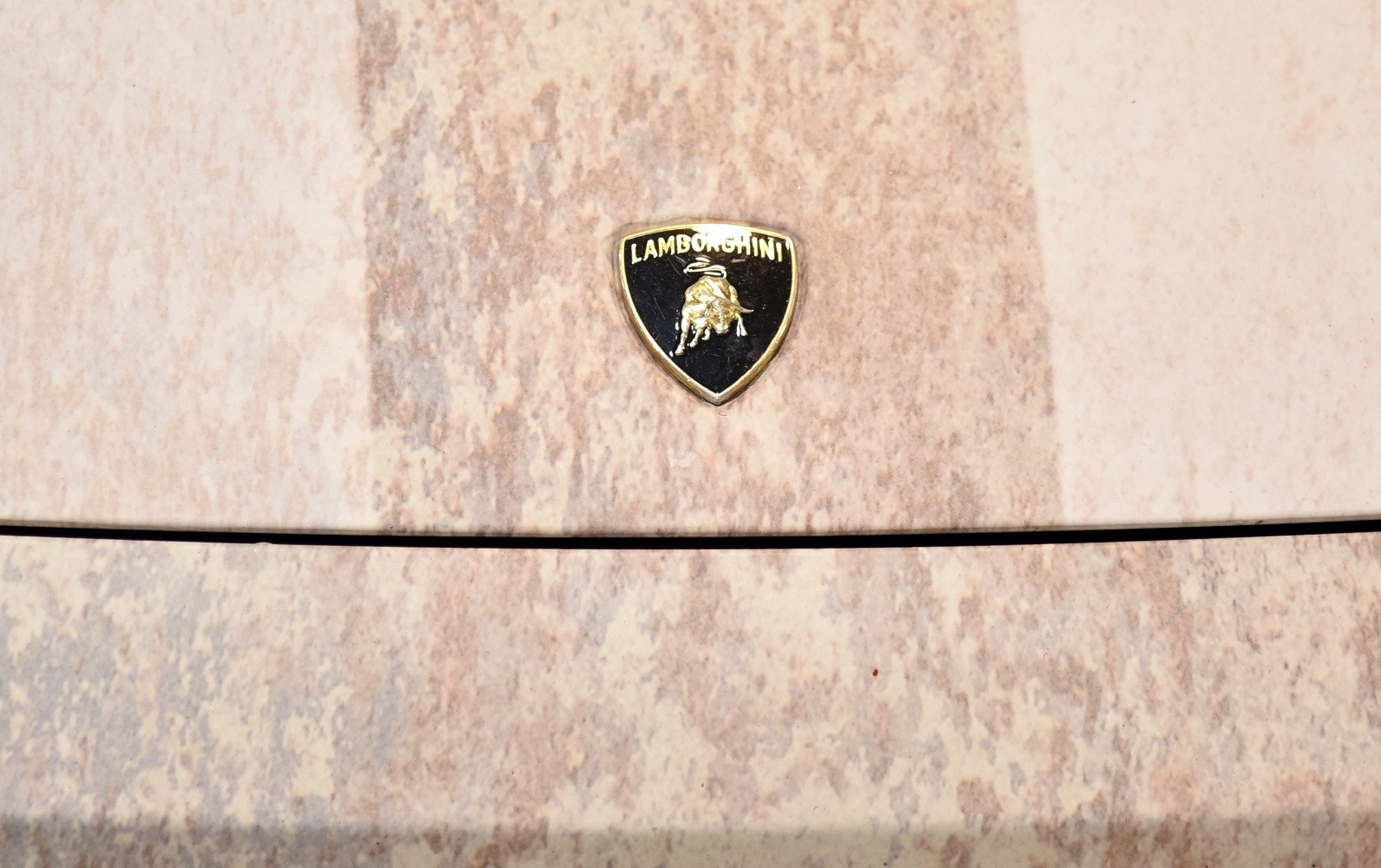 Close-up of Lamborghini badge on textured hood with black hood line