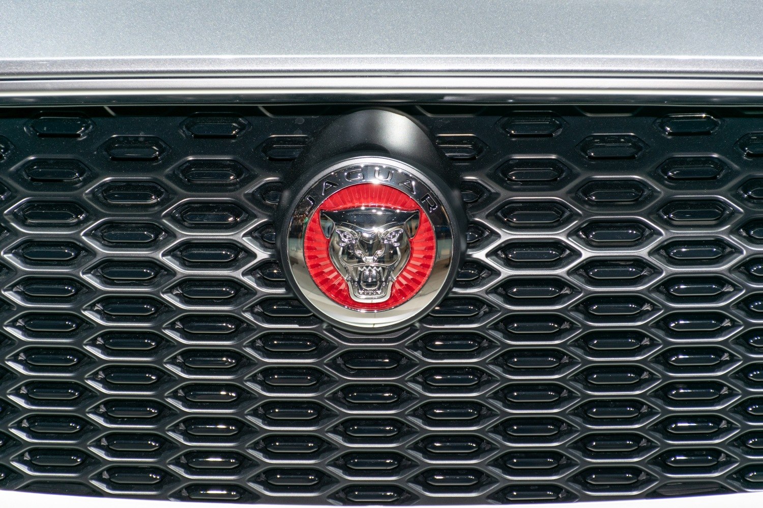 Jaguar emblem on black honeycomb front grille