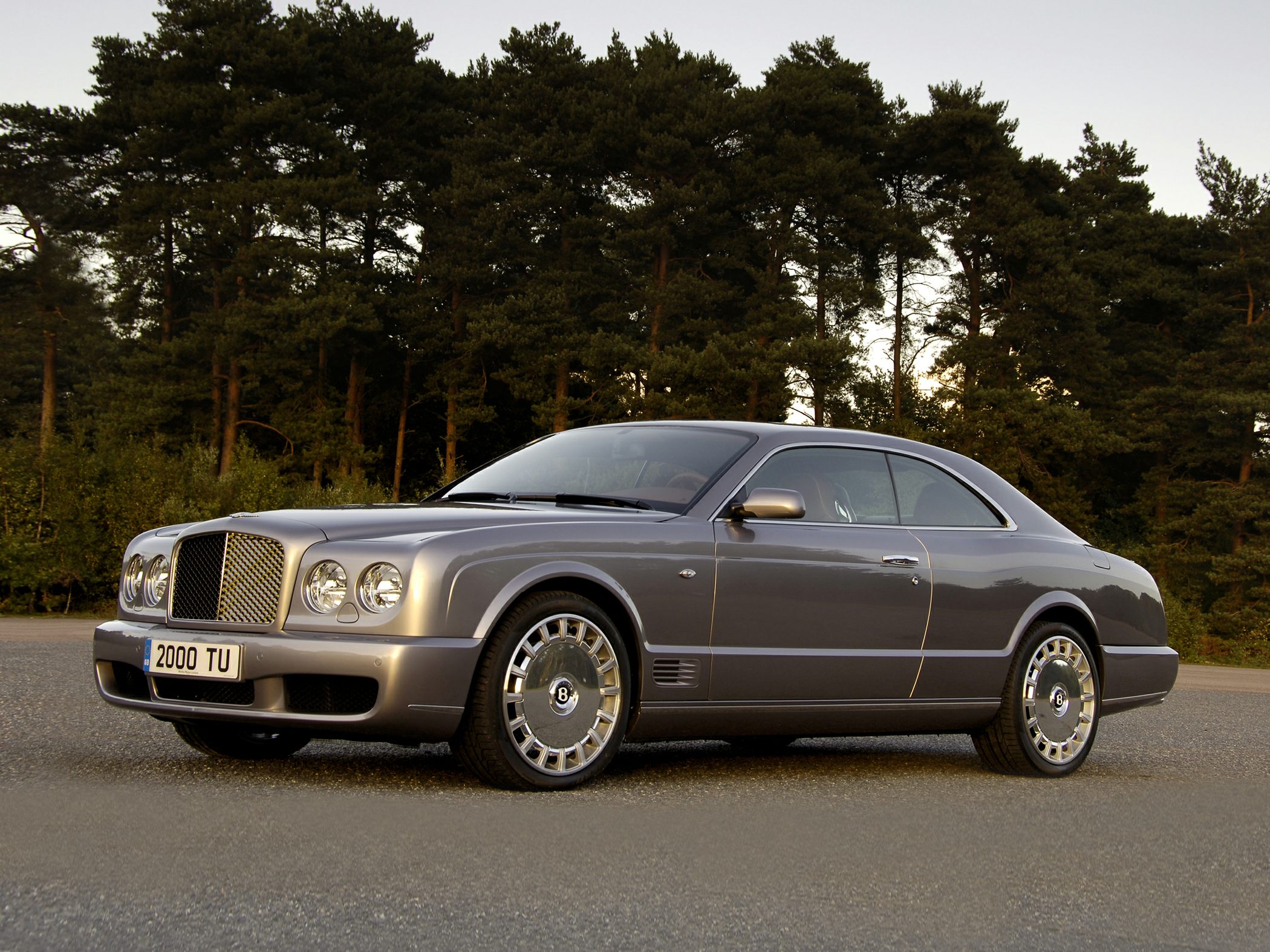 Sleek luxury coupe with oval headlights and large mesh grille