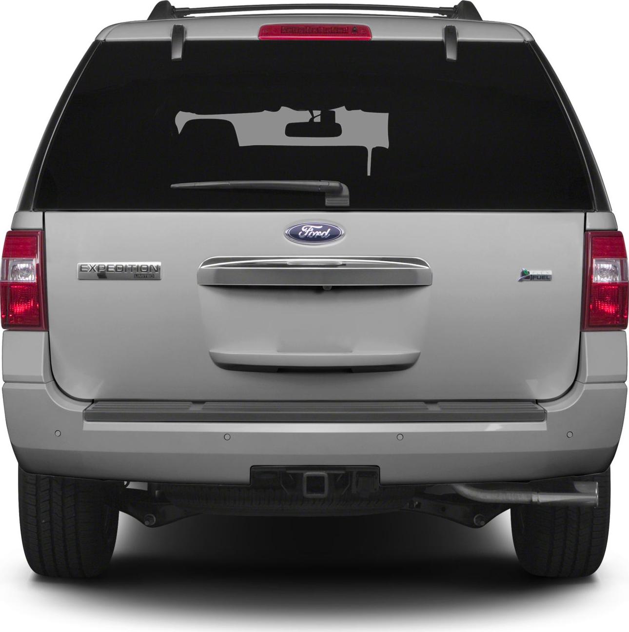 2007 Ford Expedition III (U324) Rear View