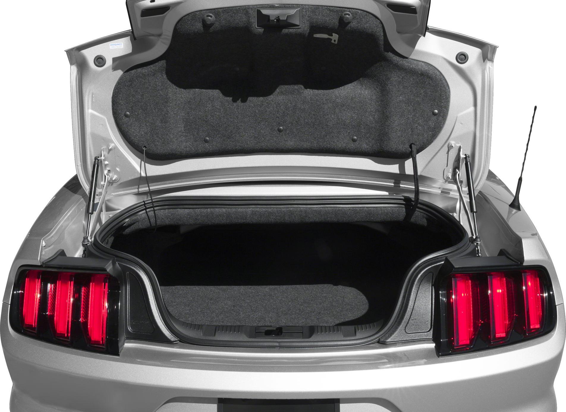 Open trunk interior and illuminated vertical tail lights