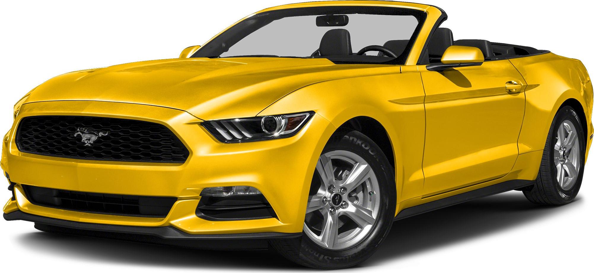 3/4 front-left view, Triple Yellow Tri Coat