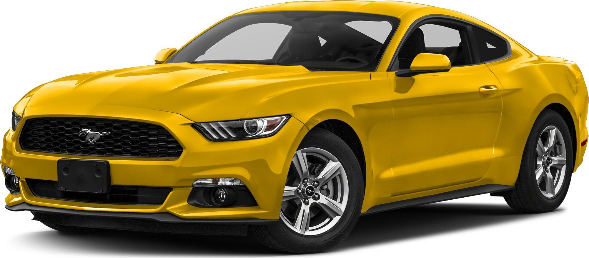 3/4 front-left view, Triple Yellow Tri Coat