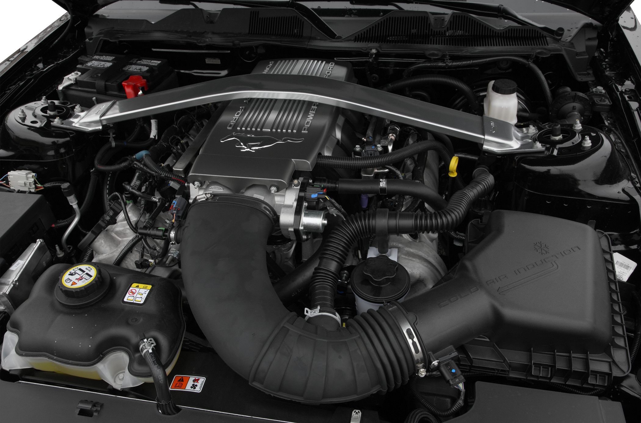 Engine bay with cold air induction and strut bar
