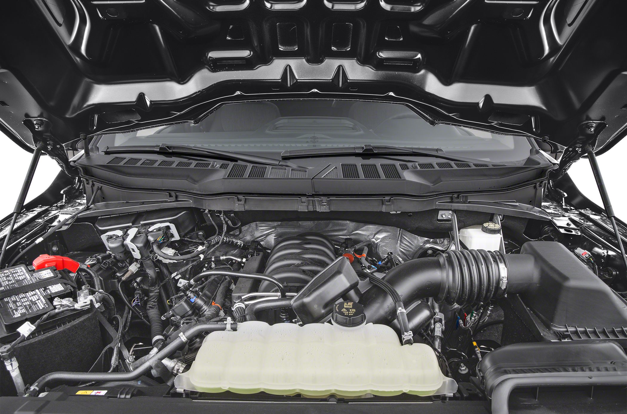 Engine compartment with detailed view of components and fluid reservoir