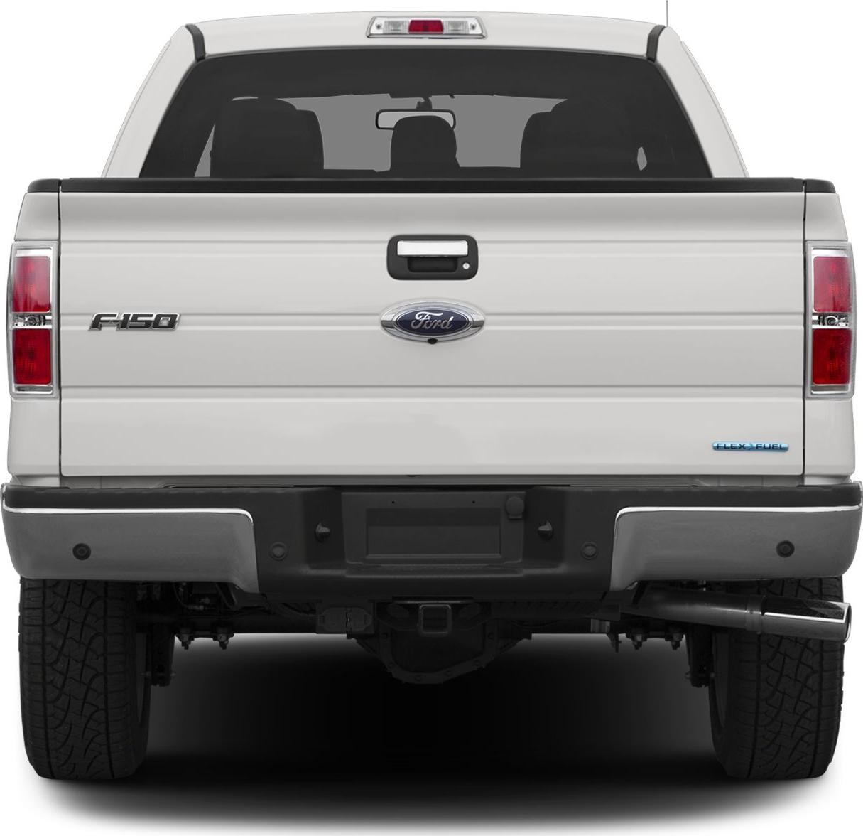 Rear view with tailgate, F-150 badge, and Flex Fuel emblem