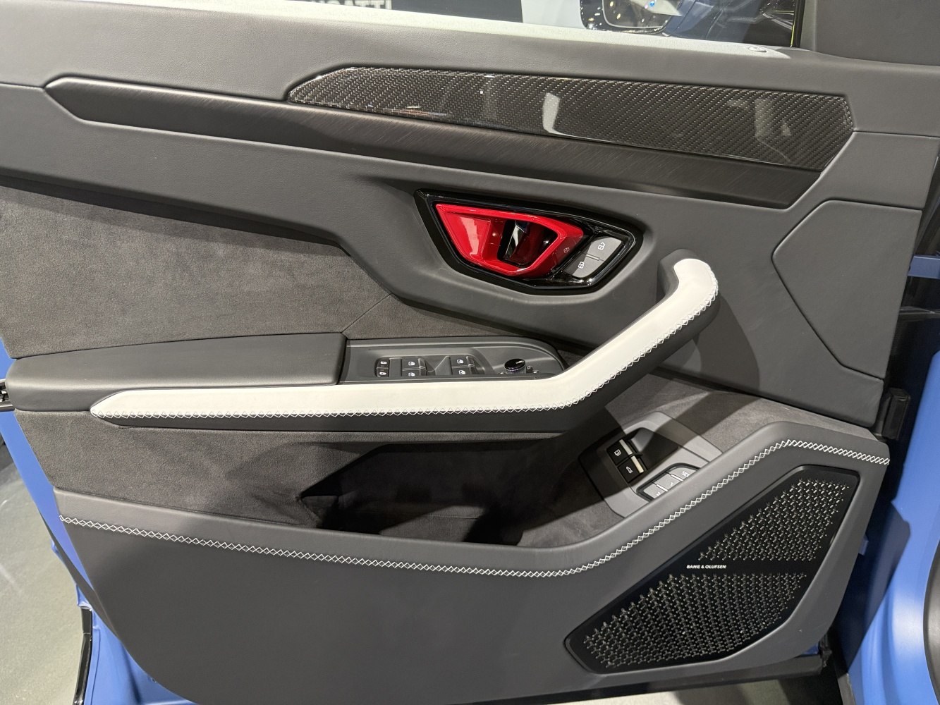 Luxury door panel with carbon fiber, control buttons, and premium sound speaker