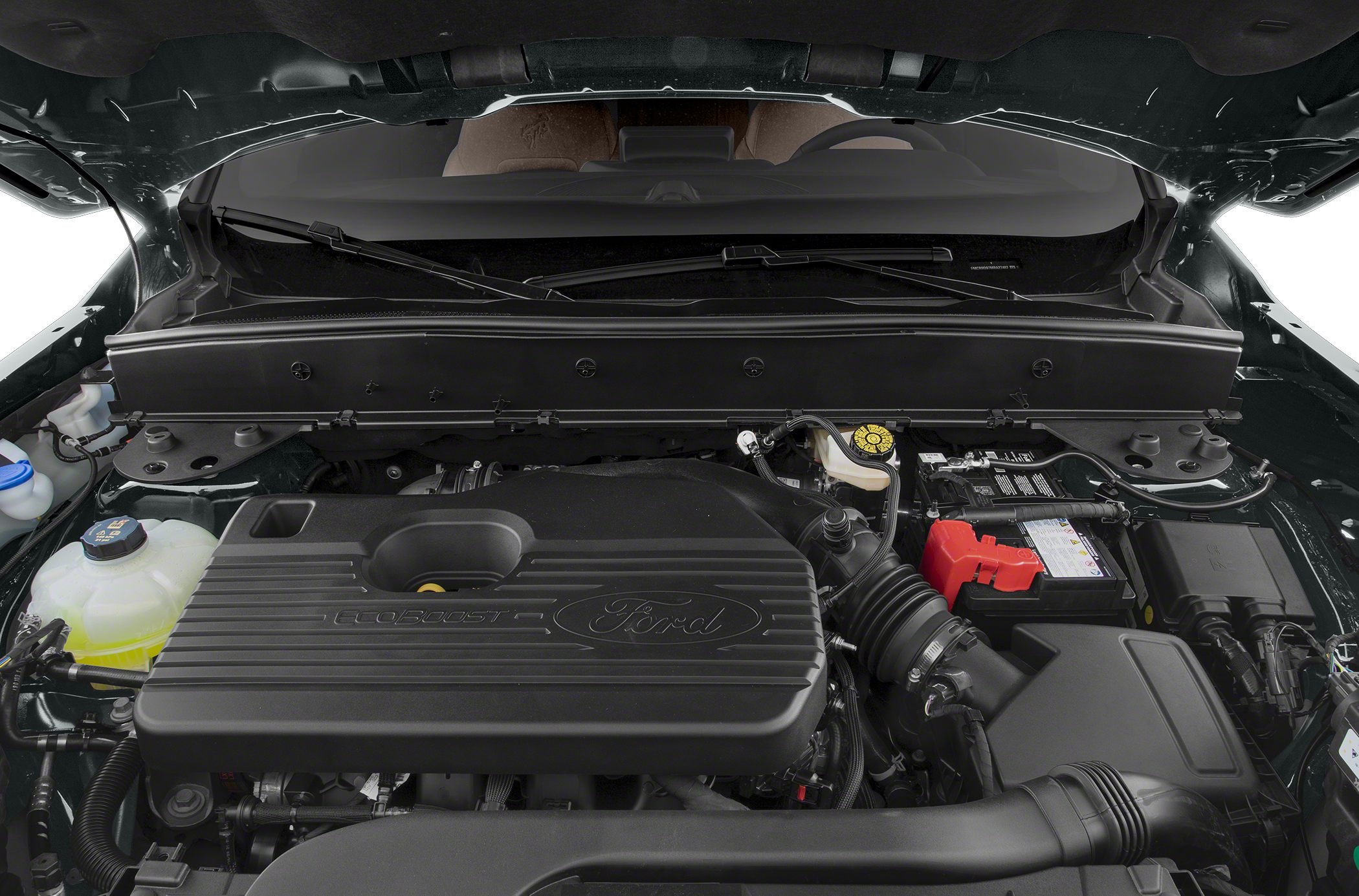 Ford engine bay with EcoBoost engine cover and organized components