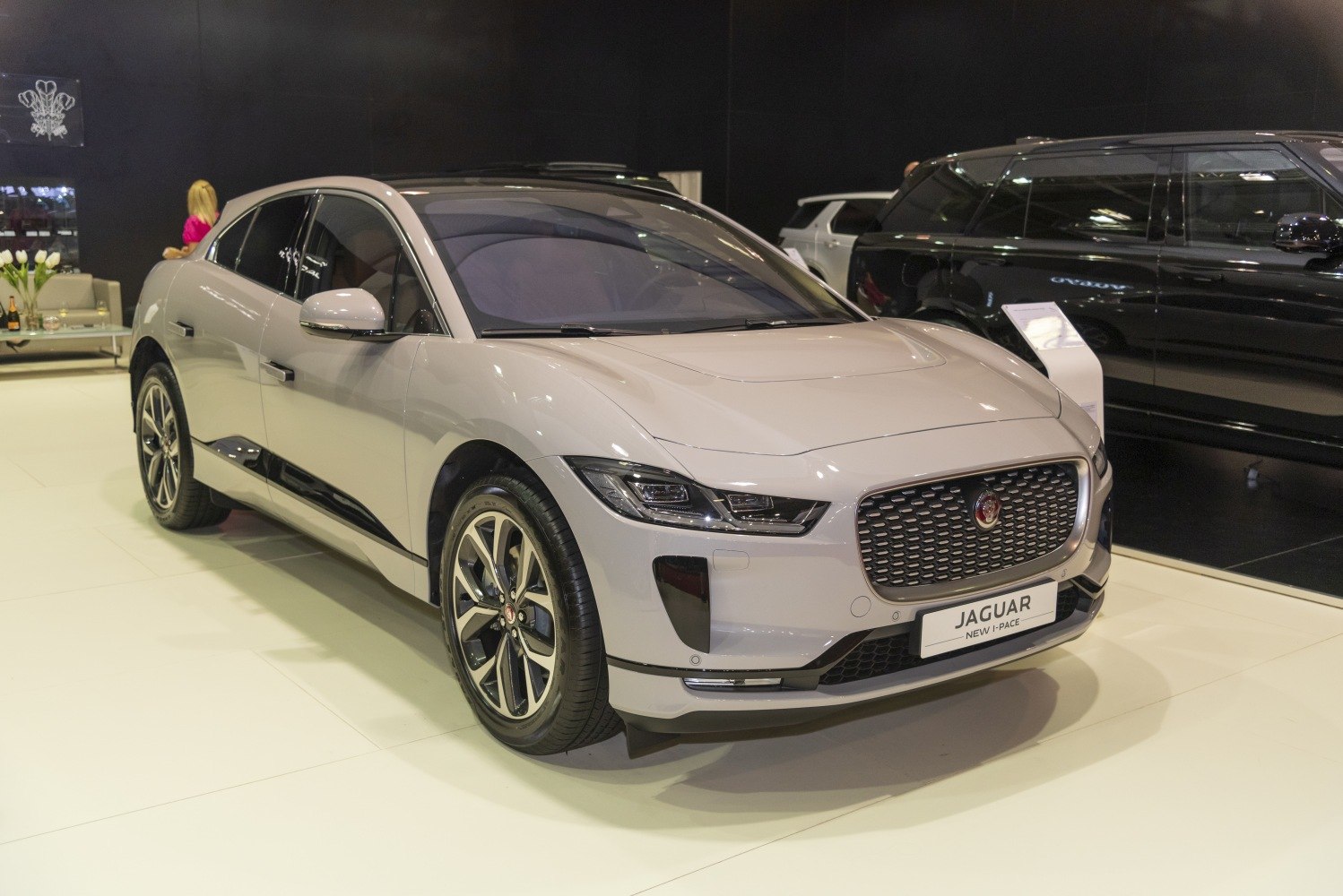 Front and side view of a modern electric SUV with sleek design and distinctive grille.
