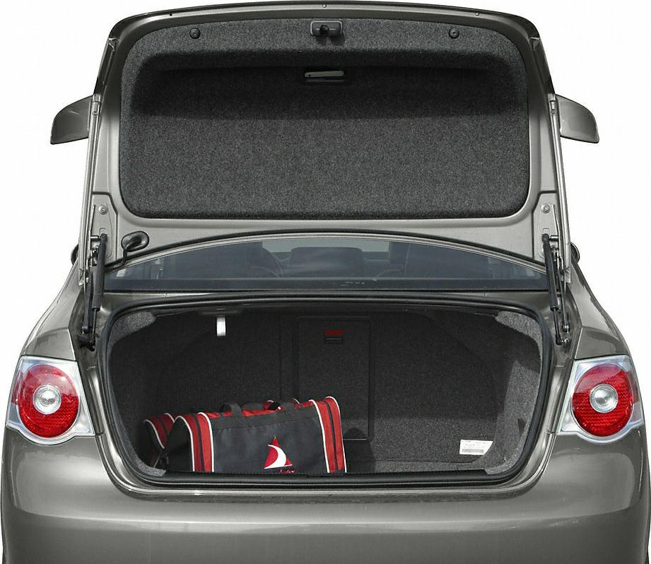 Open trunk with spacious cargo area and lined interior