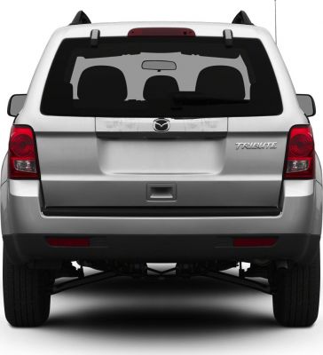 Rear view with tail lights, rear window, and badge on SUV