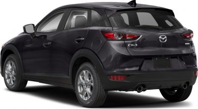 Rear view with dual exhausts and modern taillights
