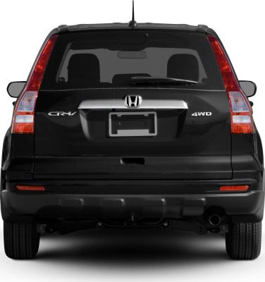 Rear view with tailgate, taillights, and 4WD badge