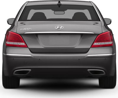Rear view with taillights, emblem, chrome trim, dual exhausts