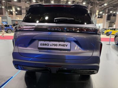 Rear design with LED strip tail lights and PHEV badge on hybrid SUV