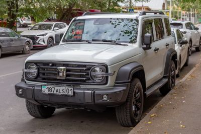 SUV front grille with round headlights and robust bumper