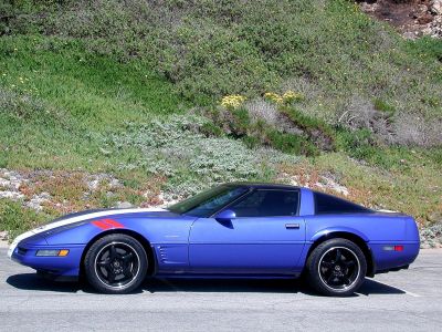 Side view of a sports coupe with racing stripes and black alloy wheels.
