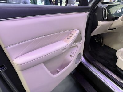 Interior door panel with control buttons and wood trim