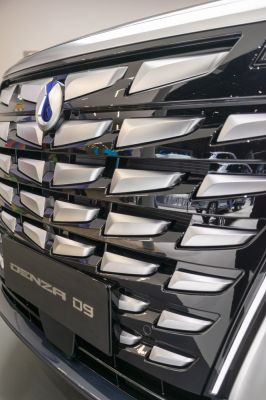Close-up of a sculpted metallic front grille with emblem